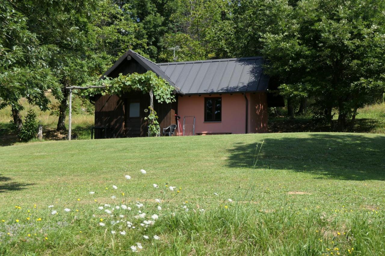 Agriturismo Braccicorti Pieve Fosciana Exterior foto