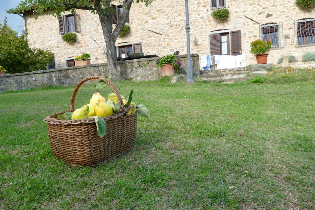 Agriturismo Braccicorti Pieve Fosciana Exterior foto