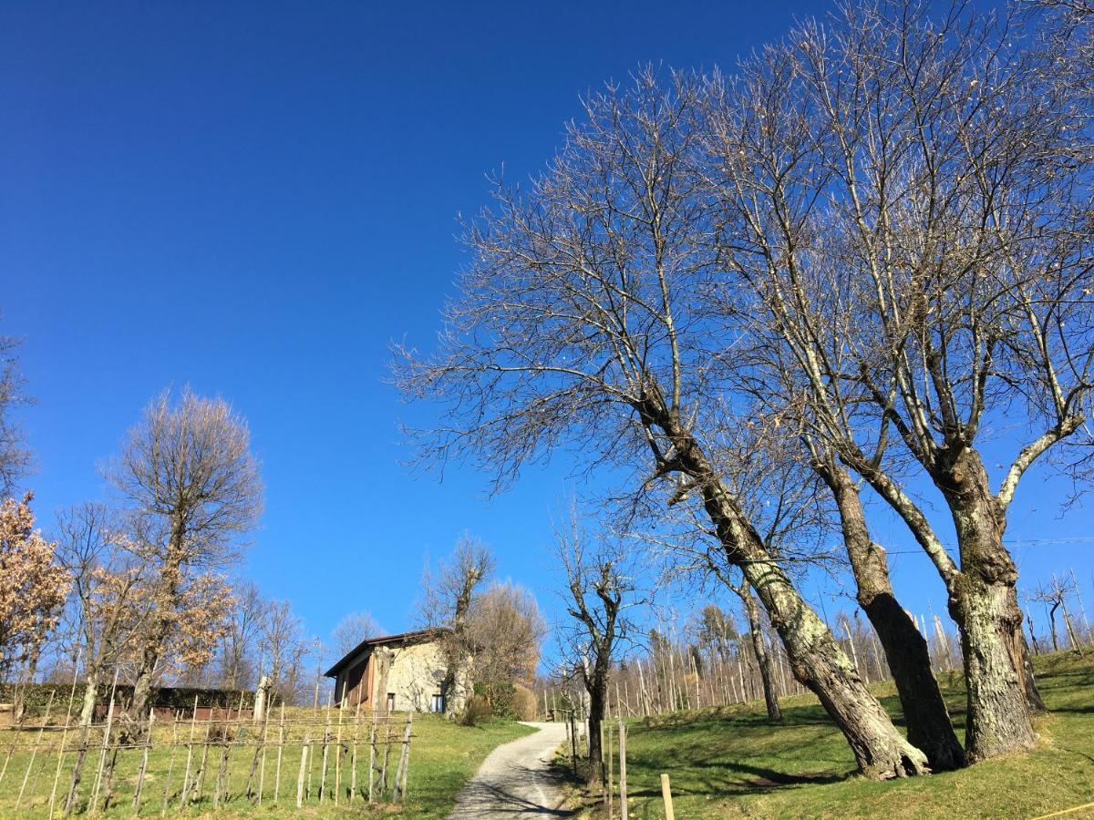 Agriturismo Braccicorti Pieve Fosciana Exterior foto